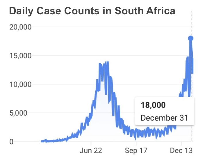 Chart displaying daily covid-19 cases in South Africa, peaking at 18,000 cases on December 31, 2020